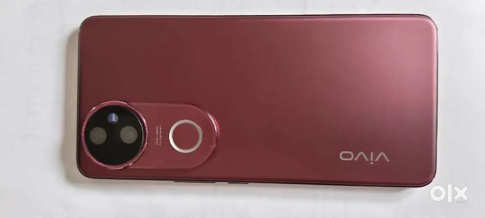 Vivo v50 8/256