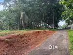 അടൂർ ബൈപാസിന് സമീപം 30cent വിൽപനയ്ക്ക്