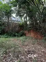 10 cent plot NEAR NH66