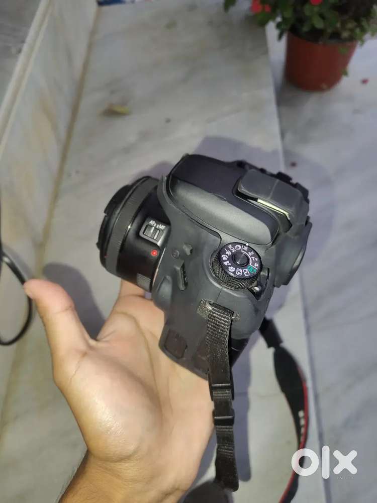 Canon EOS 77d+ 50mm+ kit lens