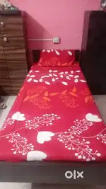 Hostelwala boys & girls pg Alkapuri Vadodara