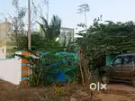 House for lease Only near Senthil school Krishnagiri