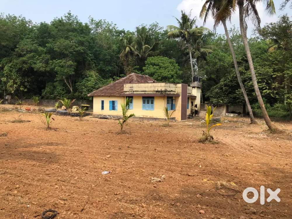 House and land for rent suitable track, shuttle court, swimming pool