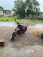 pulsar 180 modified