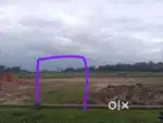 NH site plot