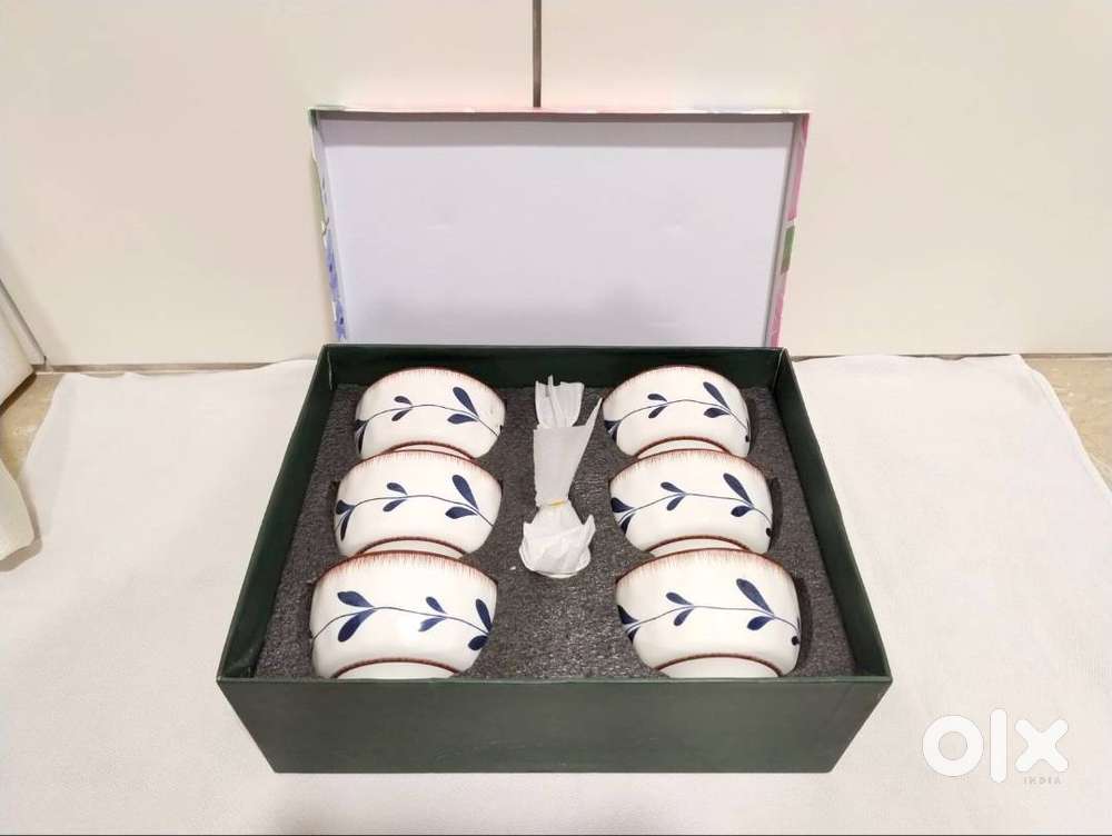 6 Bowls and spoons Set