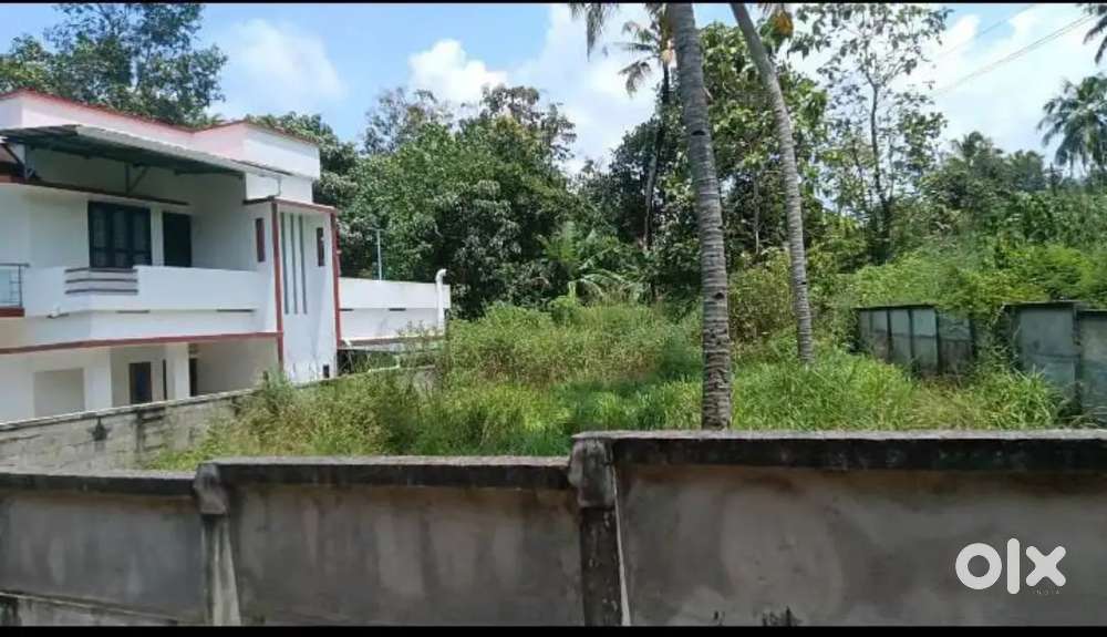 മങ്ങാട്,  കൊല്ലം.9 സെന്റ്. COMMERCIAL / HOUSING.