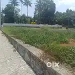 15 CENT LAND FOR SALE AT INFOPARK PHASETO