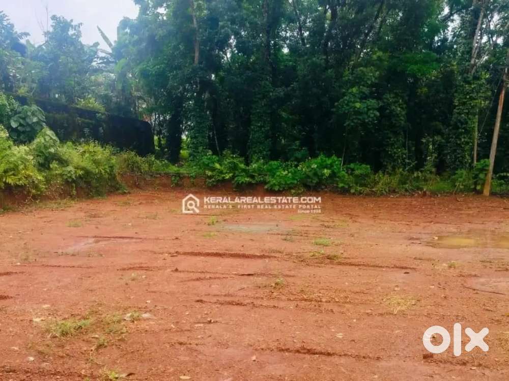 ഹൗസ് പ്ലോട്ട് കോതമംഗലം ചേലാട് മിനിപ്പടി Minippady Kothamangalam