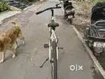 OXYGEN BICYCLE