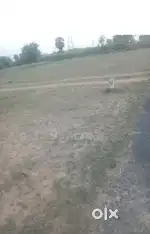 Land property