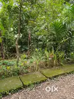 9.4 cent land for sale in kanjoor,near airport,aluva,Angamaly,plot