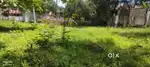 10 cent plot for sell
