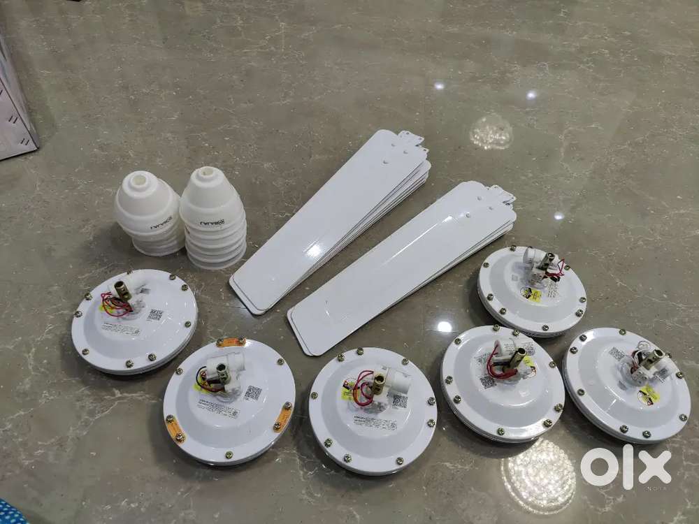 Bajaj EDGE HS NEO EE Ceiling Fans – Unused, White, 52W, 1200mm