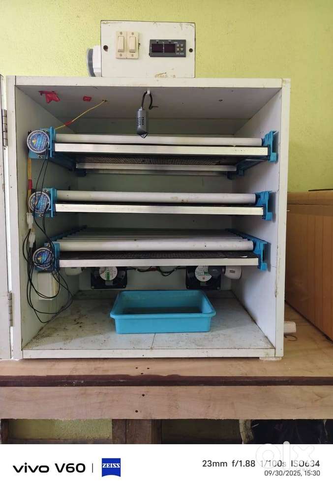 Fully automatic egg incubator 300 eggs capacity