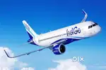381 vacancy available for indigo Airlines jobs nearest airport