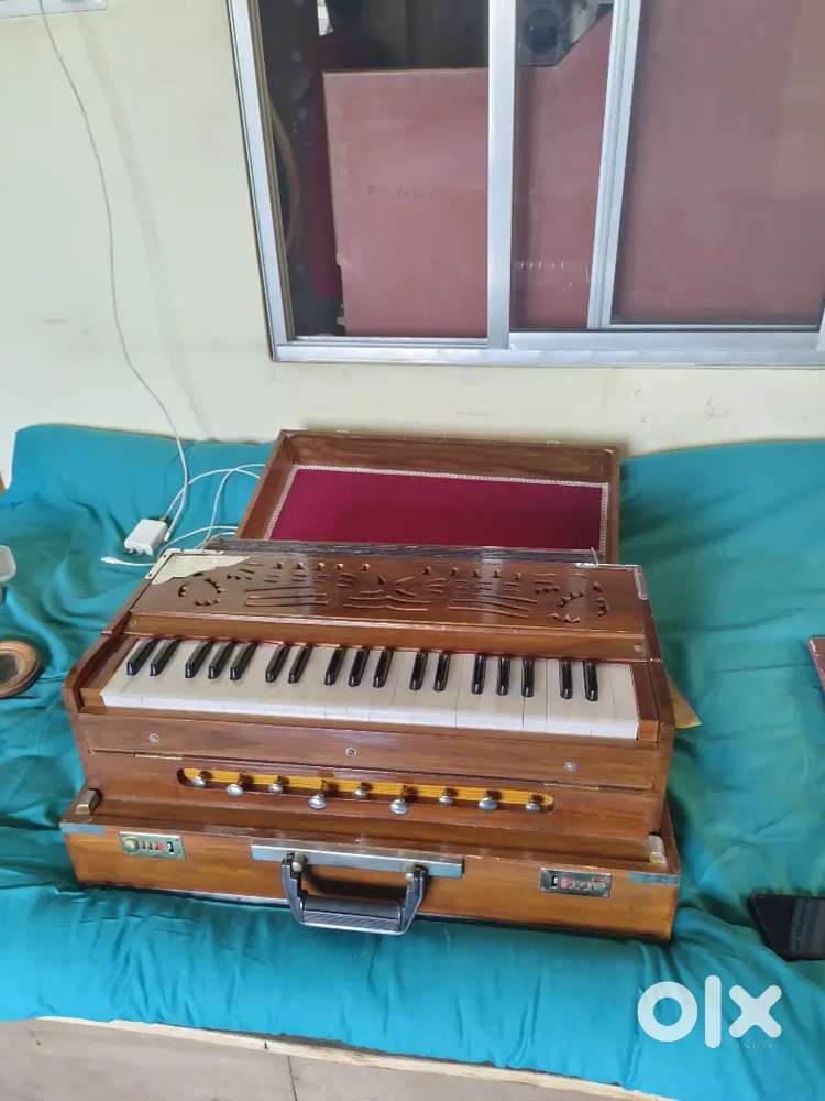 Harmonium 1 .5 year old