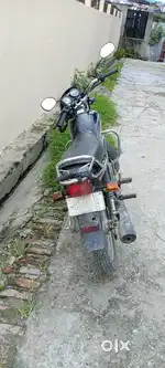 Arjent hai