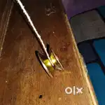 Yoyo golden