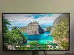 LG Monitor 24”  Great condition  ₹8,000