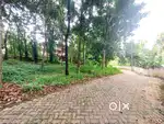 10CENT ORGINAL LAND IN KAKKANAD NAVODHAYA JUNCTION JUST 100 MTR