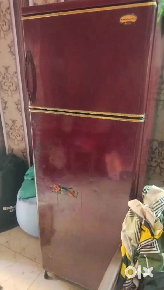 Fridge double door