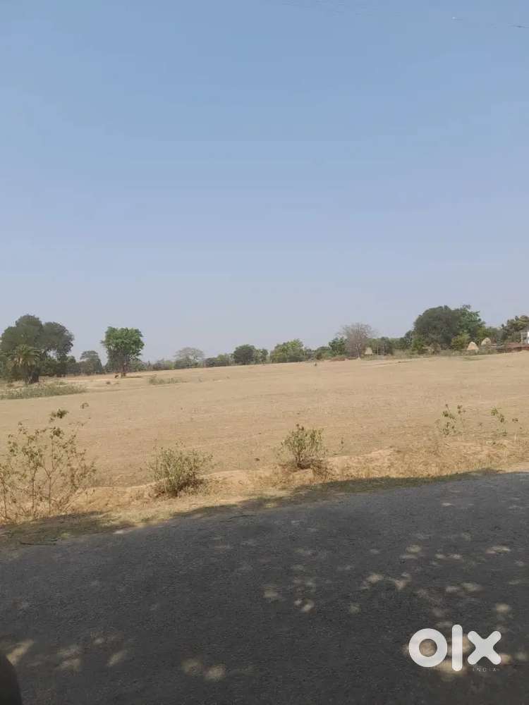 Land and plots, company, factory, University, college,and school