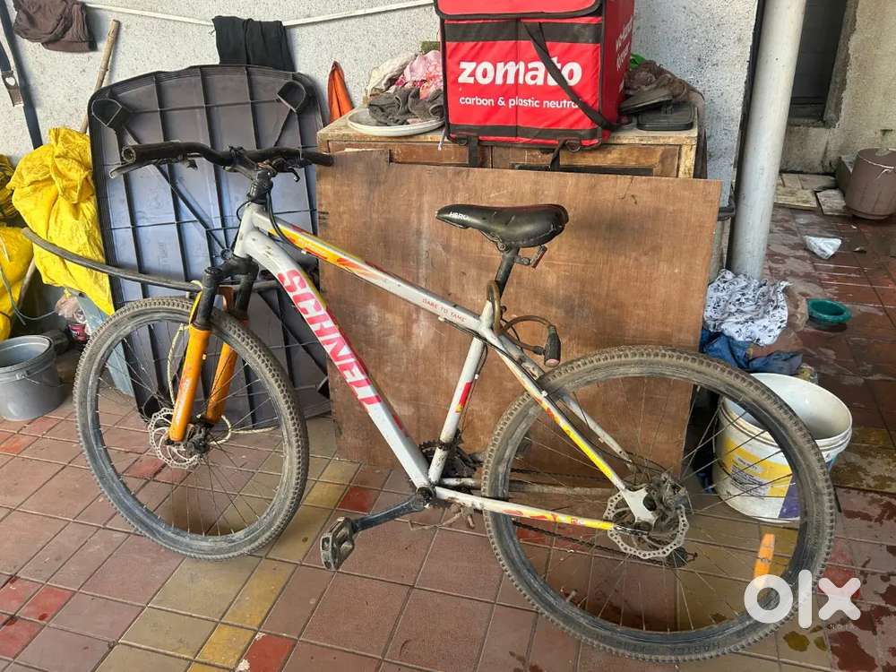 Schnell 21 speed bicycle