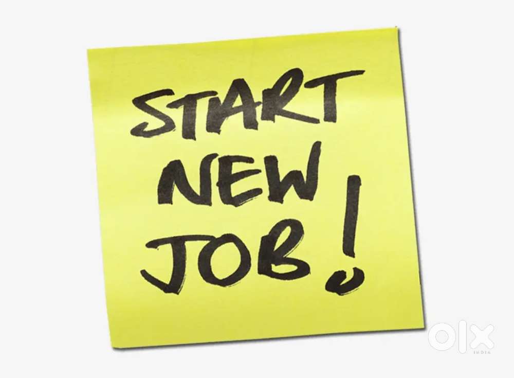 Male and female Candidate apply now Bank Job