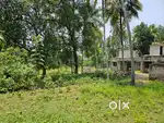 Land for sale near lake Edava-kappil