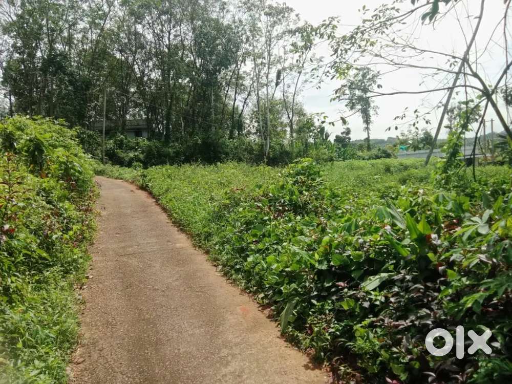 Pampady.10 cent house plot.1.50 .lakh .