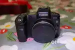 Canon R Body with Adapter