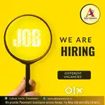 GET YOUR DREAM JOB THROUGH ALFA CAREERS