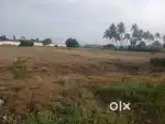 Full road face agriculture property sales