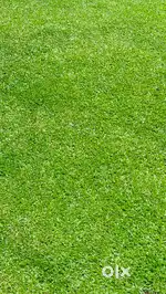Plot for sale at new arora colony