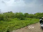 Rivjha near Shri Ram clg(Jabalpur)