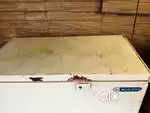Deep freezer 200 liter Blue star