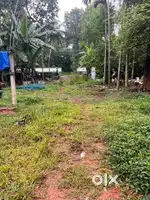 Plot for sale Pulichuvade