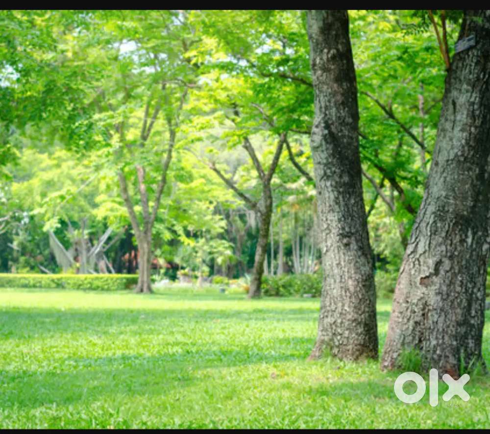 Land near Divine Grace Public School Bahraich.