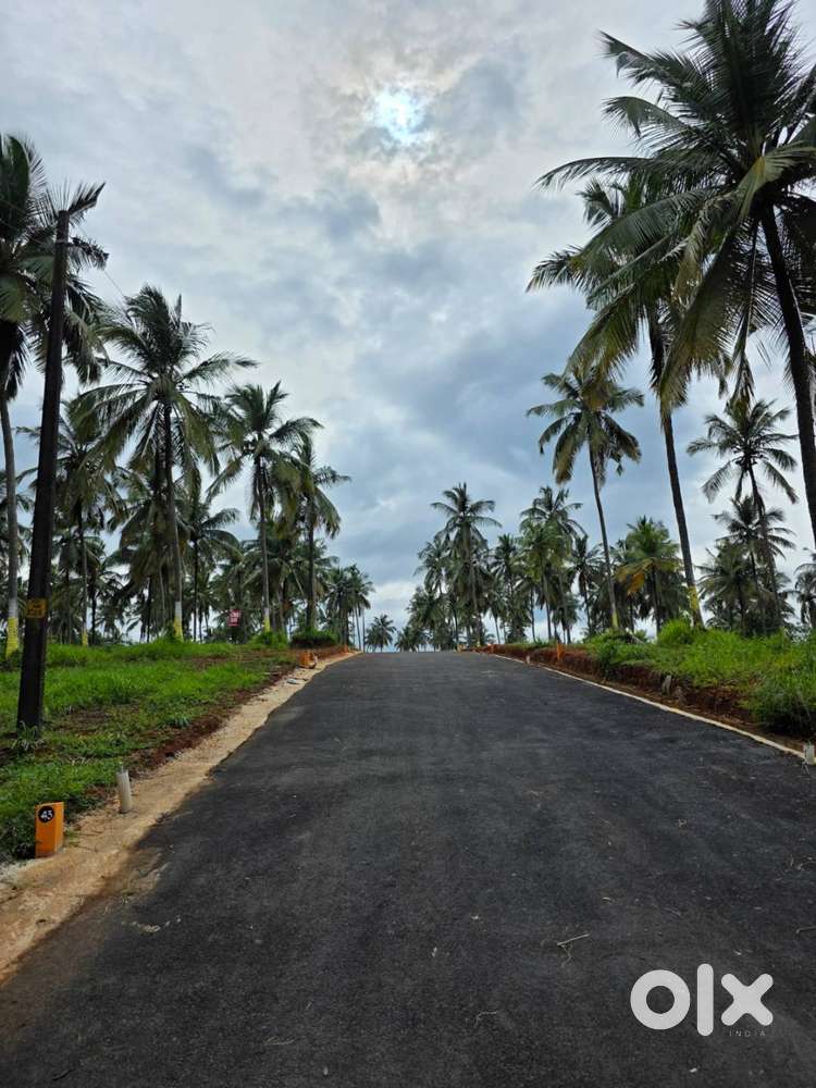 9 Cent House plot for sale in Viyyakurissi,Palakkad