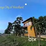 PLOT SALE NEAR VIDHANSABHA ROAD PACHEDA