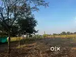 This property is for sale