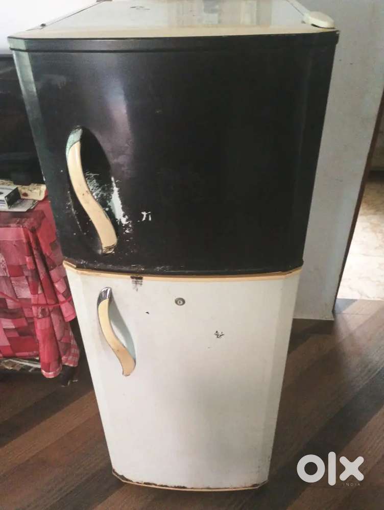 Double doo fridge