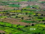 2000 Bigha Single Plot at Borsad - Tarapur Chokdi