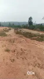 20Acre land For JV in Thirthahalli
