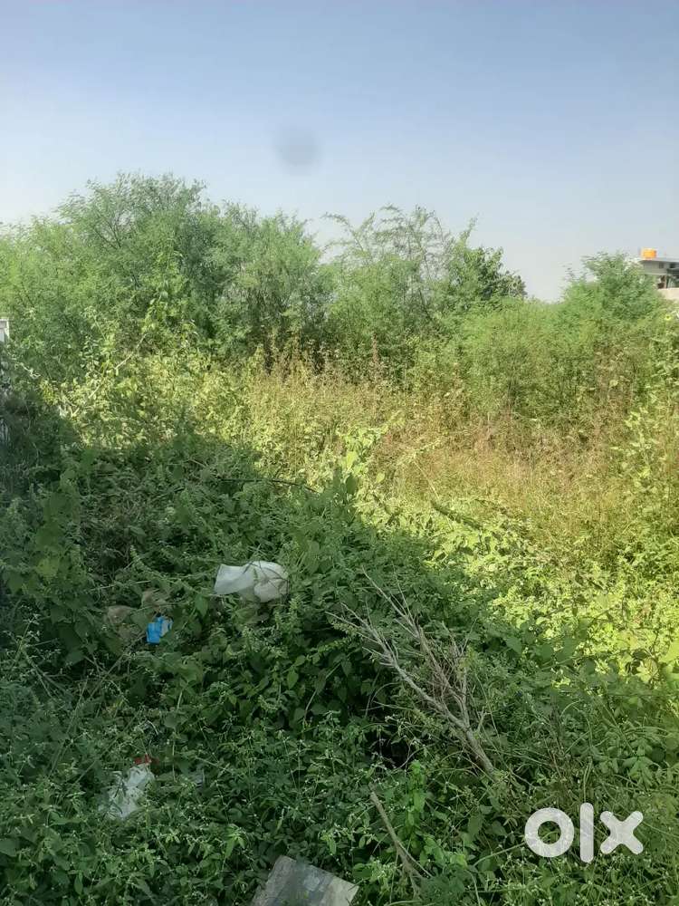 Amleshawr khudmuda men road se 500 fit andar hai