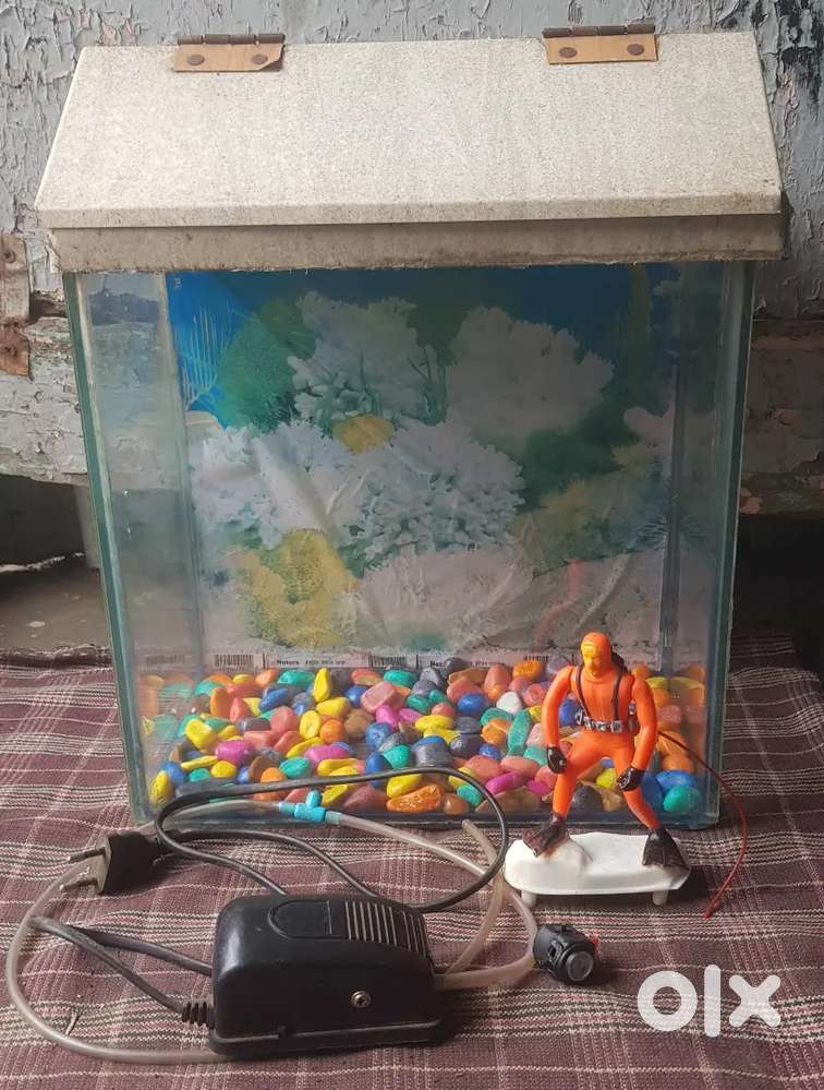 Fish tank and all set-up