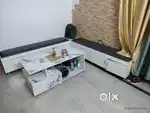 2 Month old best quality