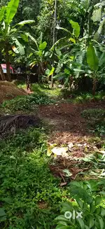 Plot for Sale