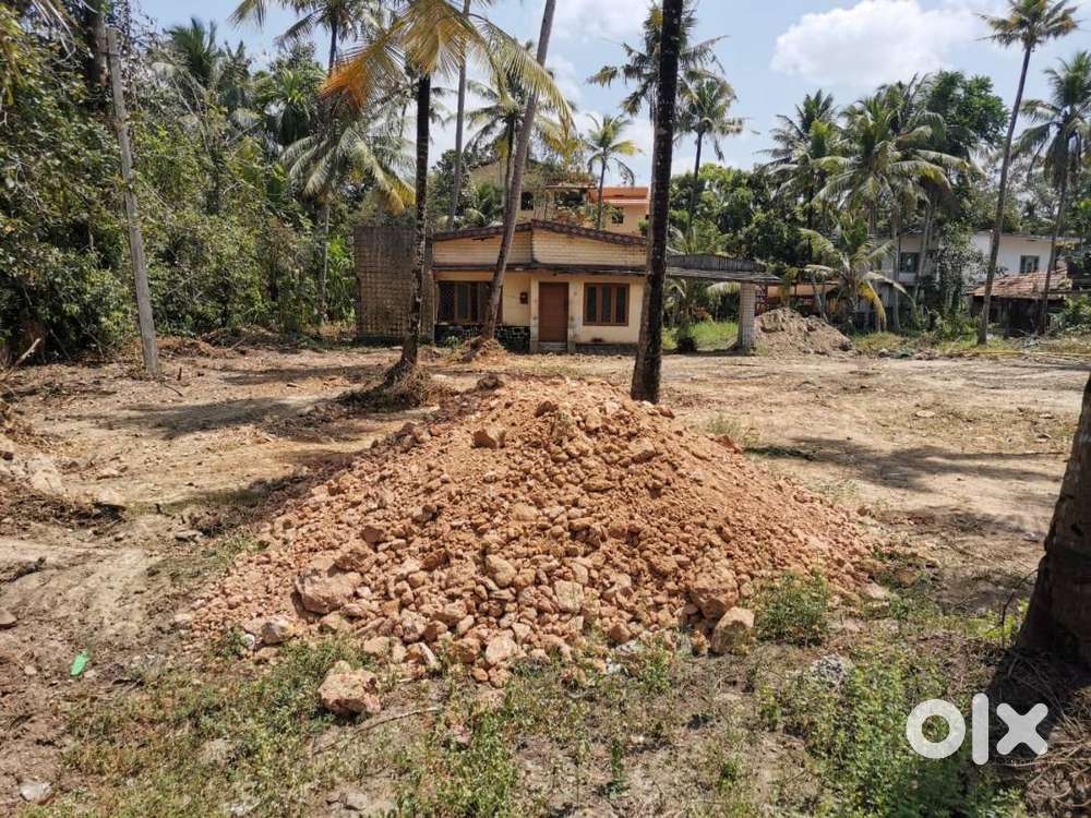 55 cent Road side plot with house (Muthukulam - Haripad  mainroad)